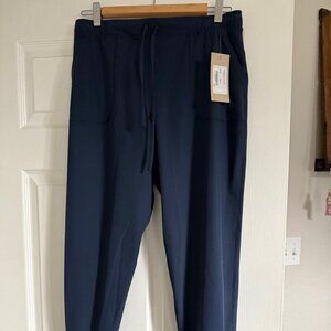 NWT! Albion Fit Blue Jetsetter Joggers (Size Small)